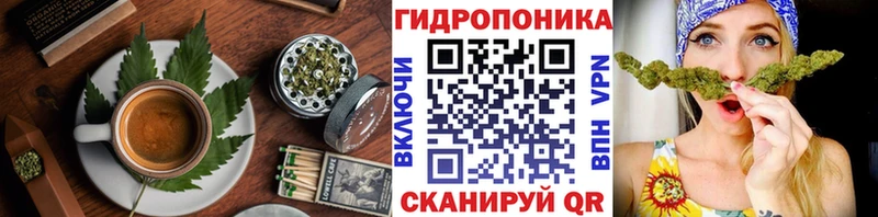 Canna-Cookies марихуана  Закаменск 