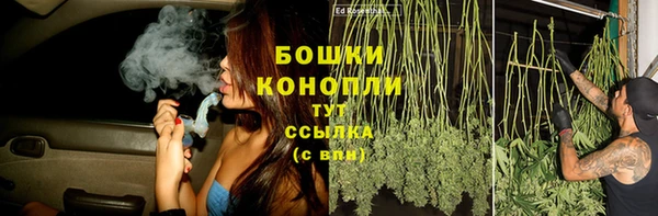 ALPHA PVP Туринск
