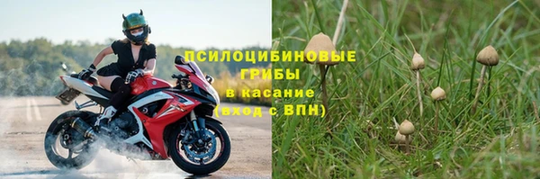 ALPHA PVP Бердск